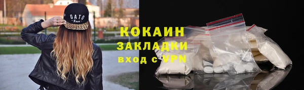 кокс Арсеньев