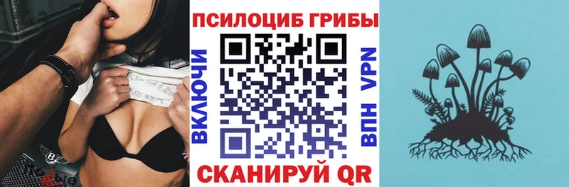 Галлюциногенные грибы мухоморы  наркота  Рузаевка 